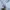 Vision Street Wear Vintage Skater Hoody Pria white photo 4