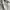 Y2k BURBERRY Brit White Military Shirt Gold Button  photo 3