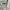 Y2k BURBERRY Brit White Military Shirt Gold Button  photo 2
