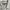 Y2k BURBERRY Brit White Military Shirt Gold Button 