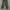 Dickies Skateboarding x Ronnie Sandoval Cellpocket Longpants photo 2