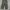 Dickies Skateboarding x Ronnie Sandoval Cellpocket Longpants photo 1