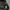 Dickies Skateboarding x Ronnie Sandoval Cellpocket Longpants photo 4