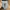 Thxsnsmnia Artckl Baggy Jeans Ginna photo 3