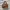 Vintage Natural Pattern Hand Bag / Shoulder Bag photo 1