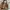 Vintage Natural Pattern Hand Bag / Shoulder Bag photo 2
