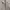Oakley Enhance Tech Fleece Jacket photo 2