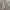 Oakley Enhance Tech Fleece Jacket photo 1