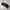 Nike Vintage Golf 90’s Big Swoosh Flatcap photo 4