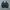 Windbreaker jacket nike  photo 1