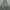 Windbreaker jacket under armor camo photo 2