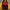 Windbreaker jacket lanos colorblock photo 3