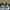 Timberland Union Wharf Size 42  photo 3