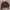 old navy chocolate brown ribbed cardigan  photo 6