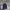 HOODIE ZIPPER DICKIES  photo 1