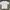 Human Made Polar Bear Pocket White Tee  Build Up • T-Shirt • photo 2