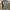 Vintage westrn levis icon america photo 5