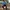Vintage westrn levis icon america photo 8