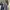 517 bootcut photo 8