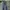 517 bootcut photo 2