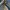 517 bootcut photo 3