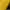 HOODIE DICKIES YELLOW photo 6