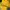 HOODIE DICKIES YELLOW photo 5