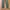 Uniqlo Chinos bahan tebal slimfit Warna army photo 2