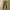 Uniqlo Chinos bahan tebal slimfit Warna army photo 5