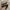 Flatshoes Urban & Co | Urban N Co