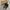 flatshoes urban & co | urban n co photo 1