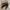flatshoes urban & co | urban n co photo 4