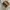 flatshoes urban & co | urban n co photo 5