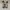 Converse 70's Hi white photo 3