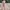 Dress Flower Bangkok  photo 3
