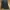 Japanese Brand Flare Jeans Boot Cut Low Rise photo 3