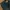 Japanese Brand Flare Jeans Boot Cut Low Rise photo 5