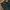 Colorado Flare Jeans Boot Cut photo 5