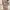 Cath Kidston Indie Futurist Duffel Bags & Holdall Wanita Multicolor White