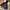 Ellesse Mammoth Jacket Sherpa Hooded More Than Mountain photo 9