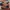 Bella Canvas - Charles "Chuck Layclerk" Leclerc USA Flag. F1 photo 3