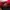 Asics Nosa Tri 15 Electric Red  photo 5