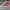 NIKE BLAZER MID 77 VINTAGE GREEN ORANGE SHANGHAI SKATE photo 1