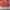AIR JORDAN 1 LOW OBSIDIAN EMBER GLOW photo 5