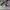 AIR JORDAN 1 LOW OBSIDIAN EMBER GLOW photo 3