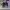 AIR JORDAN 1 LOW ALL STAR WEEKEND photo 2