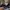 AIR JORDAN 1 LOW ALL STAR WEEKEND photo 8
