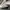 ADIDAS VINTAGE W11 1LA WHITE ADIDAS VINTAGE W11 1LA WHITE photo 7