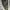 ADIDAS VINTAGE W11 1LA WHITE ADIDAS VINTAGE W11 1LA WHITE photo 10