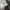 ADIDAS VINTAGE W11 1LA WHITE ADIDAS VINTAGE W11 1LA WHITE photo 9